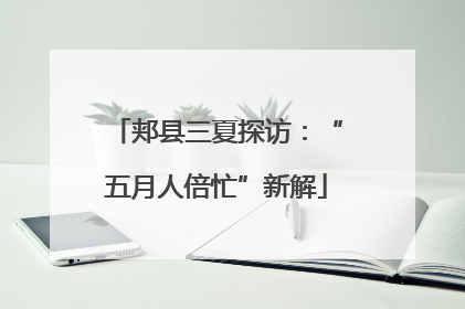 郏县三夏探访：“五月人倍忙”新解
