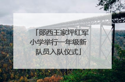郧西王家坪红军小学举行一年级新队员入队仪式