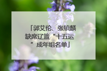 郭艾伦、张镇麟缺席辽篮“十五运”成年组名单