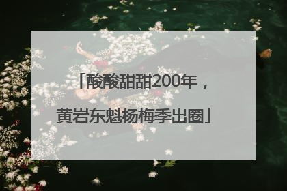酸酸甜甜200年，黄岩东魁杨梅季出圈