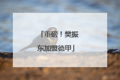 重磅！樊振东加盟德甲