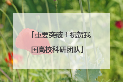 重要突破！祝贺我国高校科研团队
