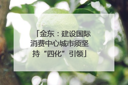 金东：建设国际消费中心城市须坚持“四化”引领