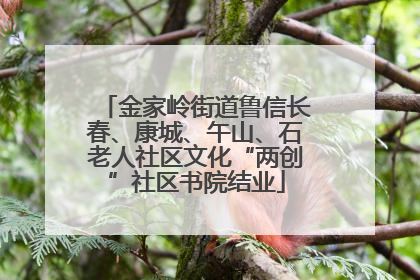 金家岭街道鲁信长春、康城、午山、石老人社区文化“两创”社区书院结业