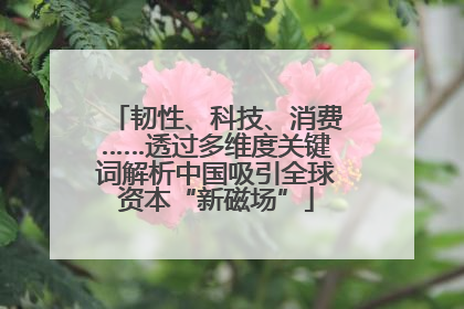 韧性、科技、消费……透过多维度关键词解析中国吸引全球资本“新磁场”