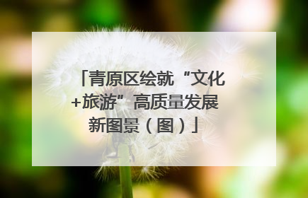青原区绘就“文化+旅游”高质量发展新图景（图）