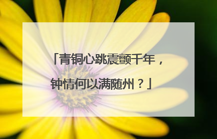 青铜心跳震颤千年，钟情何以满随州？