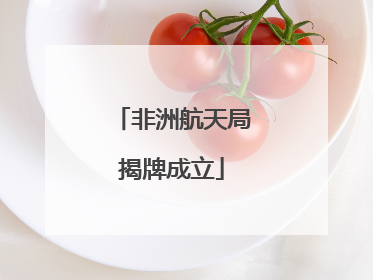非洲航天局揭牌成立