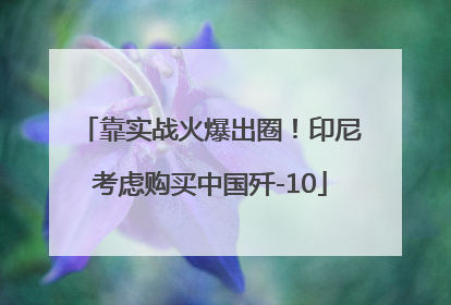 靠实战火爆出圈！印尼考虑购买中国歼-10