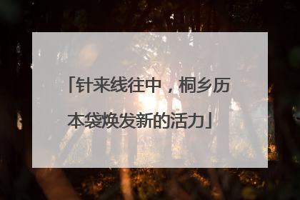 针来线往中，桐乡历本袋焕发新的活力