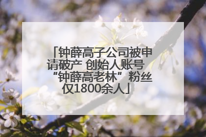 钟薛高子公司被申请破产 创始人账号“钟薛高老林”粉丝仅1800余人