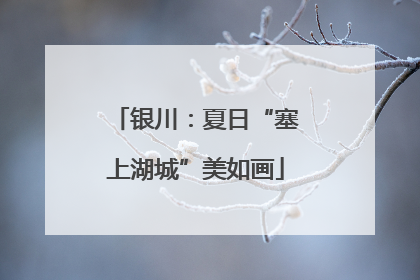 银川：夏日“塞上湖城”美如画