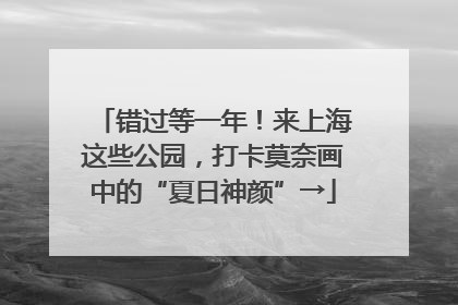 错过等一年！来上海这些公园，打卡莫奈画中的“夏日神颜”→