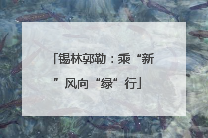锡林郭勒：乘“新”风向“绿”行