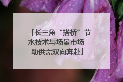 长三角“搭桥”节水技术与场景市场 助供需双向奔赴