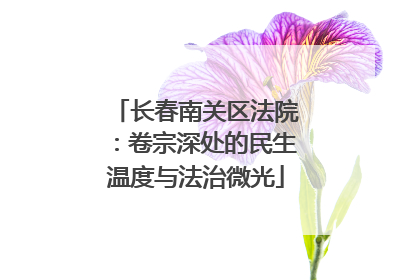 长春南关区法院：卷宗深处的民生温度与法治微光