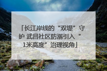 长江岸线的“双堤”守护 武昌社区防溺引入“1米高度”治理视角