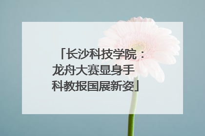 长沙科技学院：龙舟大赛显身手 科教报国展新姿