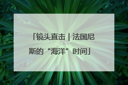 镜头直击｜法国尼斯的“海洋”时间