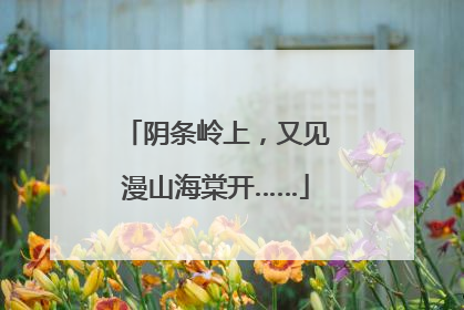 阴条岭上，又见漫山海棠开……