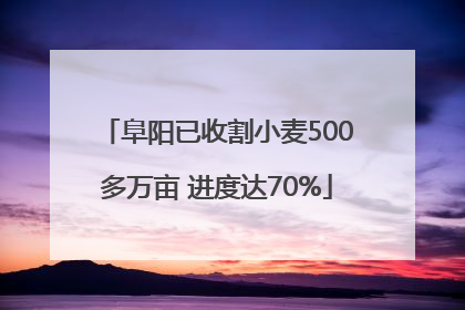 阜阳已收割小麦500多万亩 进度达70%