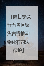 陕甘宁蒙晋五省区聚焦古脊椎动物化石司法保护