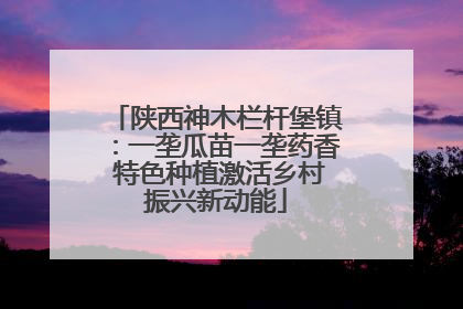 陕西神木栏杆堡镇：一垄瓜苗一垄药香 特色种植激活乡村振兴新动能