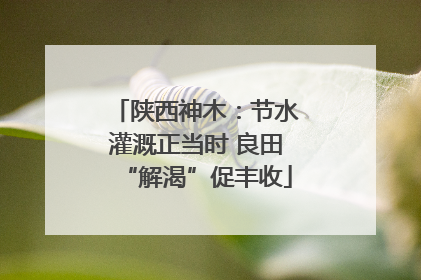 陕西神木：节水灌溉正当时 良田“解渴”促丰收