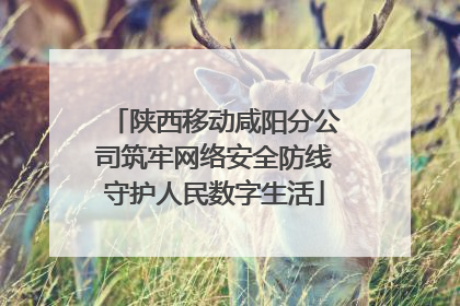 陕西移动咸阳分公司筑牢网络安全防线守护人民数字生活