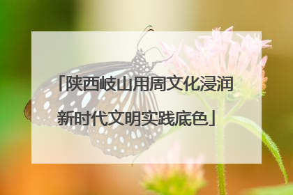 陕西岐山用周文化浸润新时代文明实践底色