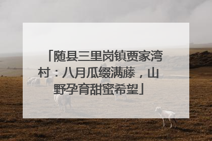 随县三里岗镇贾家湾村：八月瓜缀满藤，山野孕育甜蜜希望