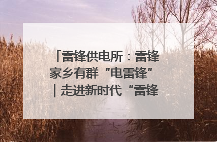 雷锋供电所：雷锋家乡有群“电雷锋”｜走进新时代“雷锋传人 长沙榜样”