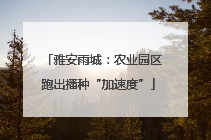 雅安雨城：农业园区跑出播种“加速度”