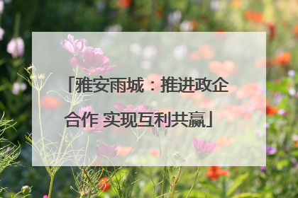 雅安雨城：推进政企合作 实现互利共赢