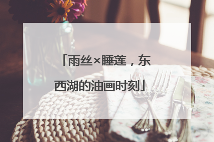 雨丝×睡莲，东西湖的油画时刻