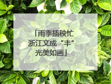 雨季插秧忙 浙江文成“丰”光美如画