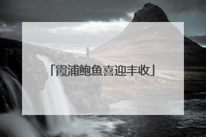 霞浦鲍鱼喜迎丰收