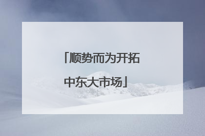 顺势而为开拓中东大市场