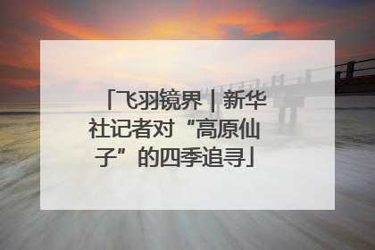 飞羽镜界｜新华社记者对“高原仙子”的四季追寻
