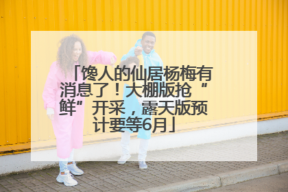 馋人的仙居杨梅有消息了！大棚版抢“鲜”开采，露天版预计要等6月