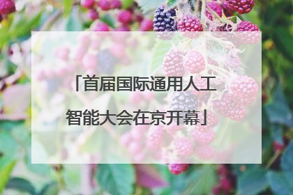 首届国际通用人工智能大会在京开幕