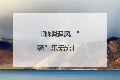 驰骋追风 “骑”乐无穷