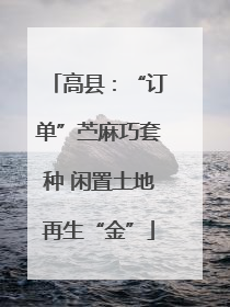 高县：“订单”苎麻巧套种 闲置土地再生“金”