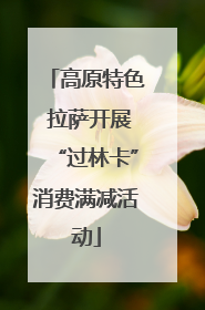高原特色 拉萨开展“过林卡”消费满减活动
