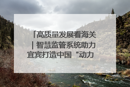 高质量发展看海关｜智慧监管系统助力宜宾打造中国“动力电池之都”