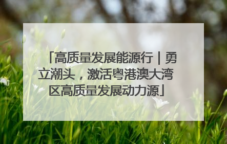 高质量发展能源行｜勇立潮头，激活粤港澳大湾区高质量发展动力源