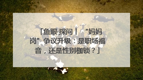鱼眼·探问丨 “妈妈岗”争议升级：是职场福音，还是性别枷锁？