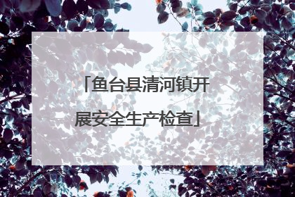 鱼台县清河镇开展安全生产检查