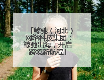 鲸驰（河北）网络科技集团：鲸驰出海，开启跨境新航程