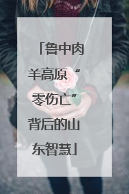 鲁中肉羊高原“零伤亡”背后的山东智慧